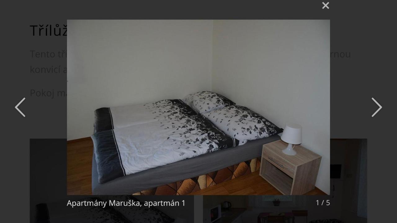 Apartmany Maruska Rokytnice nad Jizerou Ngoại thất bức ảnh